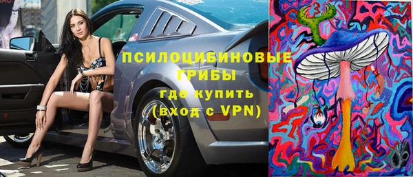 круглые Алексеевка