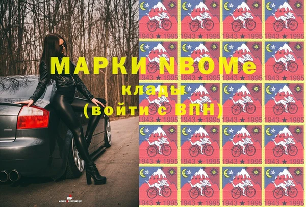 шишки Алзамай