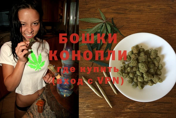 дмт Аркадак