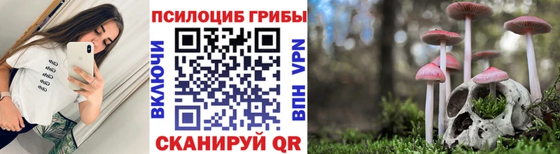 Купить закладки  Пересвет  Галлюциногенные грибы Psilocybine cubensis 